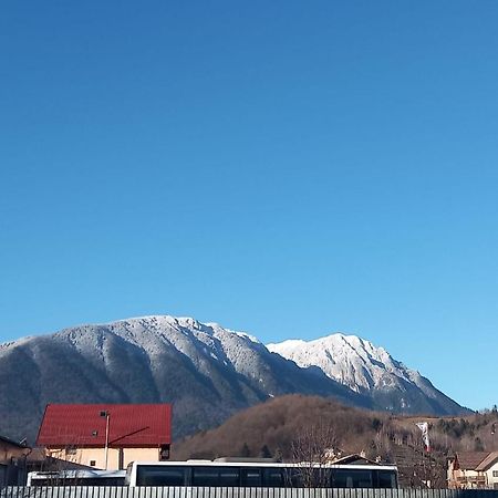 Piatra Craiului Residence Zărneşti Екстериор снимка